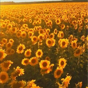 Meet your Posher, Abigail